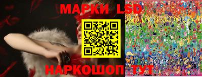 спиды Новодвинск