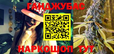 Альфа ПВП Новозыбков