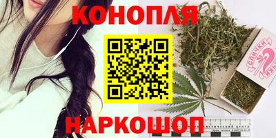спиды Новодвинск