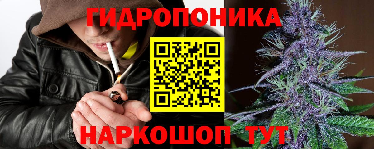 Канабис ГИДРОПОН Родники